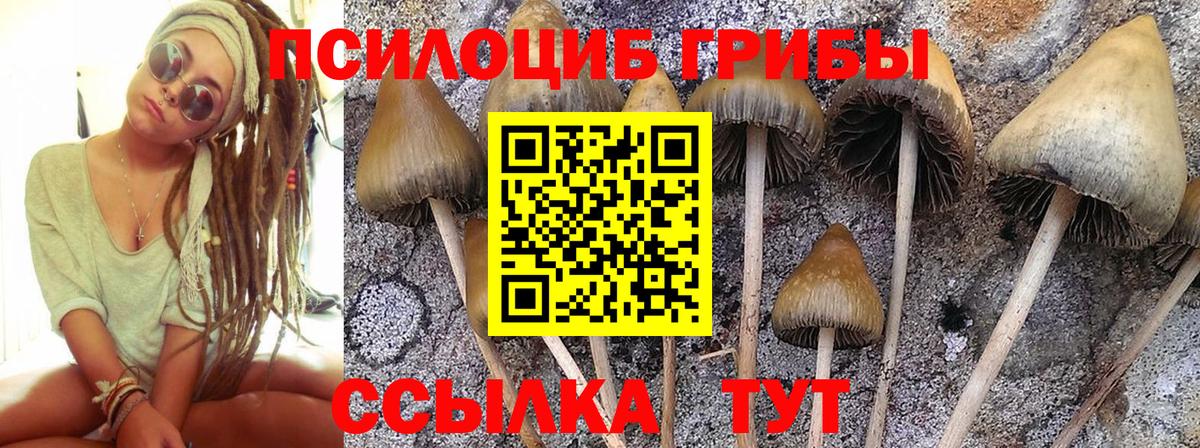Нижнеудинск  Псилоцибиновые грибы ЛСД  Псилоцибиновые грибы GOLDEN TEACHER  Вход с VPN 